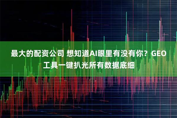 最大的配资公司 想知道AI眼里有没有你？GEO工具一键扒光所有数据底细